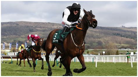 16:50 Cheltenham .